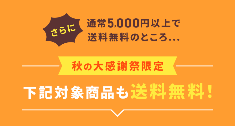 さらに通常5,000円以上で送料無料のところ...【秋の大感謝祭限定】下記対象商品も送料無料！