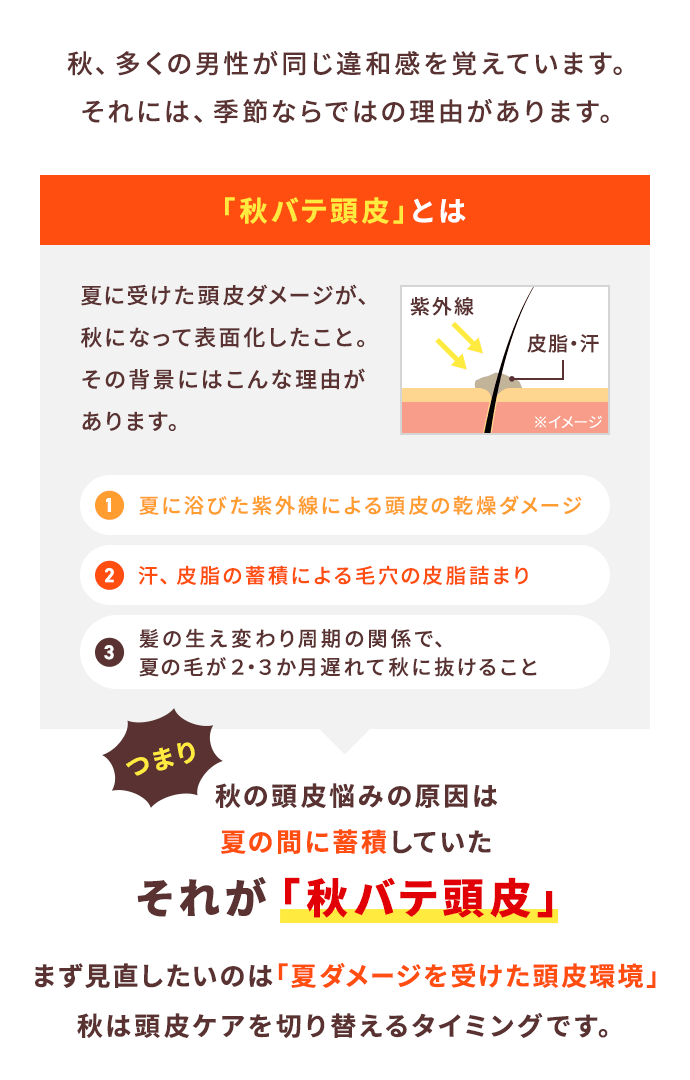 秋、多くの男性が同じ違和感を覚えています。それには、季節ならではの理由があります。【「秋バテ頭皮」とは】夏に受けた頭皮ダメージが、秋になって表面化したこと。その背景にはこんな理由があります。「1.夏に浴びた紫外線による頭皮の乾燥ダメージ」「2.汗、皮脂の蓄積による毛穴の皮脂詰まり」「3.髪の生え変わり周期の関係で、夏の毛が２・３か月遅れて秋に抜けること」つまり秋の頭皮悩みの原因は夏の間に蓄積していたそれが「秋バテ頭皮」まず見直したいのは「夏を超えた頭皮環境」秋は頭皮ケアを切り替えるタイミングです。