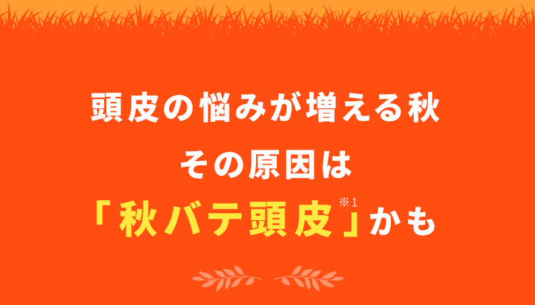 頭皮の悩みが増える秋その原因は「秋バテ頭皮」かも