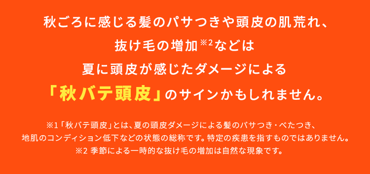 秋ごろに感じる髪のパサつきや頭皮の肌荒れ、抜け毛の増加※2などは夏に頭皮が感じたダメージによる「秋バテ頭皮」のサインかもしれません。