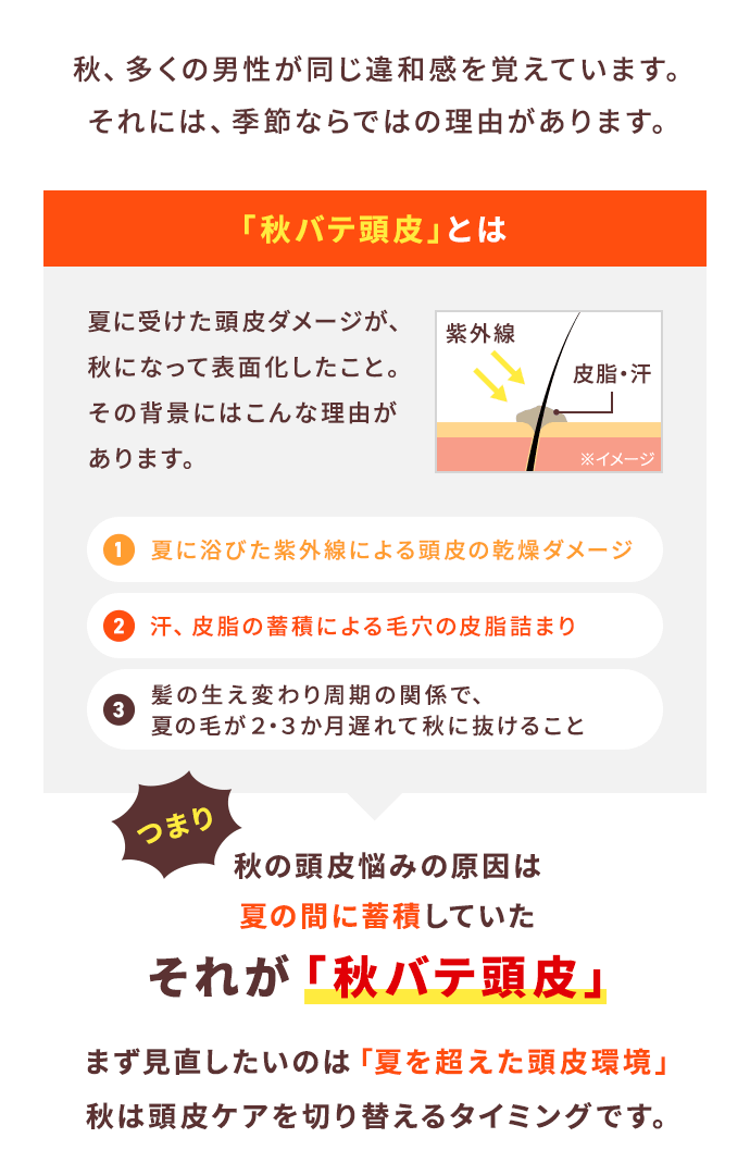 秋、多くの男性が同じ違和感を覚えています。それには、季節ならではの理由があります。【「秋バテ頭皮」とは】夏に受けた頭皮ダメージが、秋になって表面化したこと。その背景にはこんな理由があります。「1.夏に浴びた紫外線による頭皮の乾燥ダメージ」「2.汗、皮脂の蓄積による毛穴の皮脂詰まり」「3.髪の生え変わり周期の関係で、夏の毛が２・３か月遅れて秋に抜けること」つまり秋の頭皮悩みの原因は夏の間に蓄積していたそれが「秋バテ頭皮」まず見直したいのは「夏を超えた頭皮環境」秋は頭皮ケアを切り替えるタイミングです。