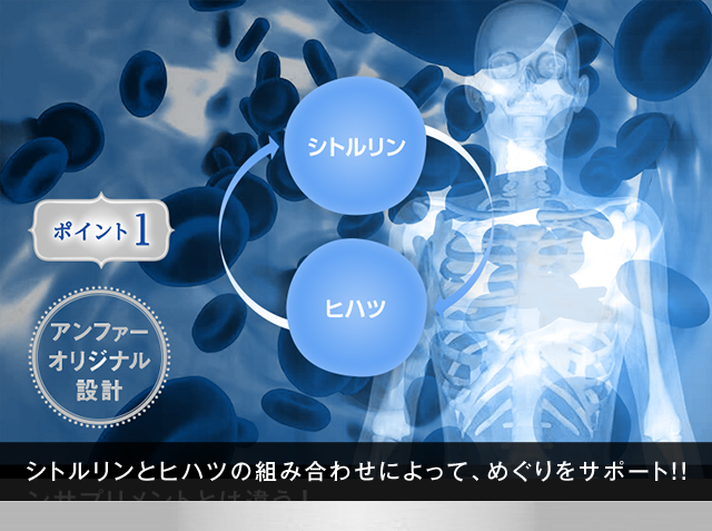 ポイント1 アンファーオリジナル設計 シトルリンとヒハツの組み合わせによって、めぐりをサポート！！