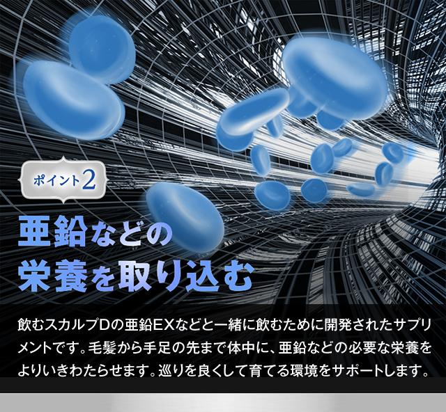 ポイント2 亜鉛などの栄養を取り込む