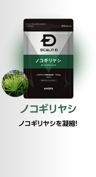 ノコギリヤシ ノコギリヤシを凝縮！