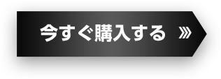 今すぐ購入する
