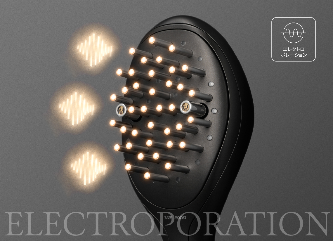 ELECTROPORATION