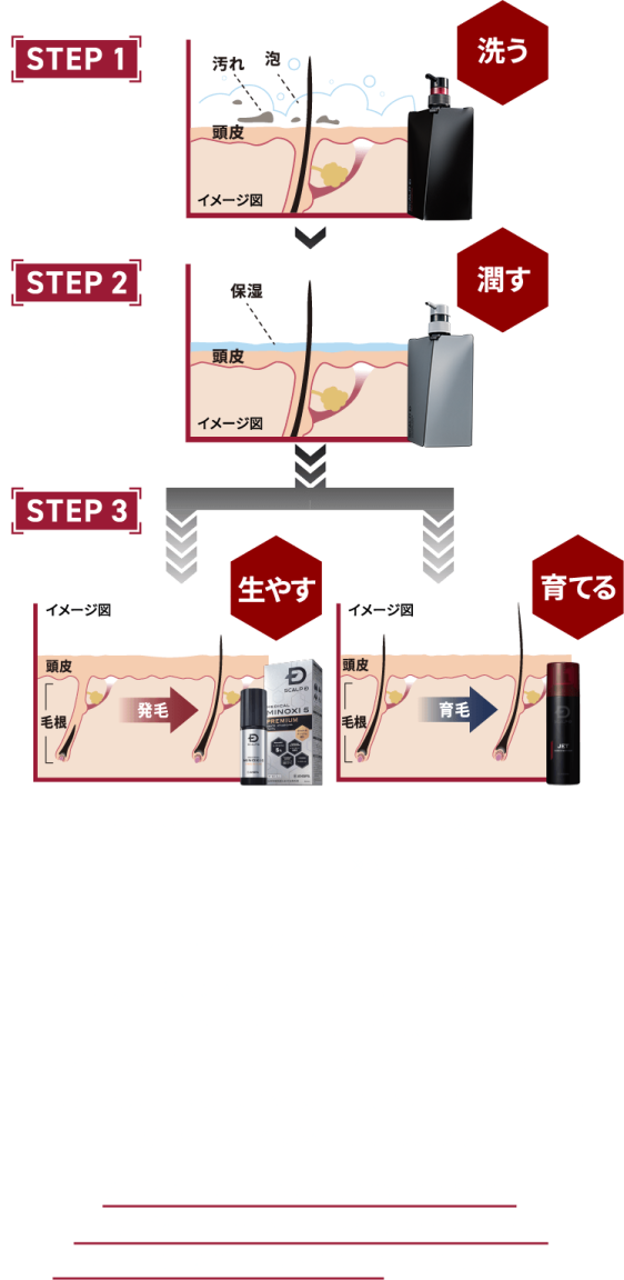 SCALP-D  BRAND  CONCEPT