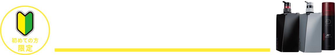 全額返金保証サービス