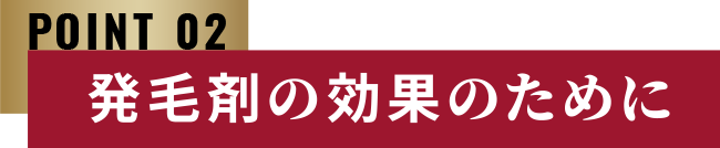 POINT 02 発毛剤の効果のために