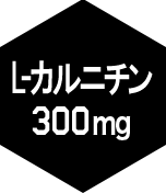 L・カルニチン300mg