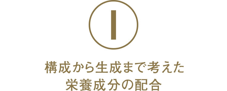 1.髪の構成から生成まで考えた栄養成分の配合