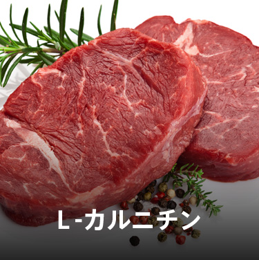 脂質を燃焼するL-カルニチン