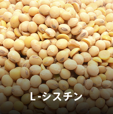 からだの基となるL-シスチン
