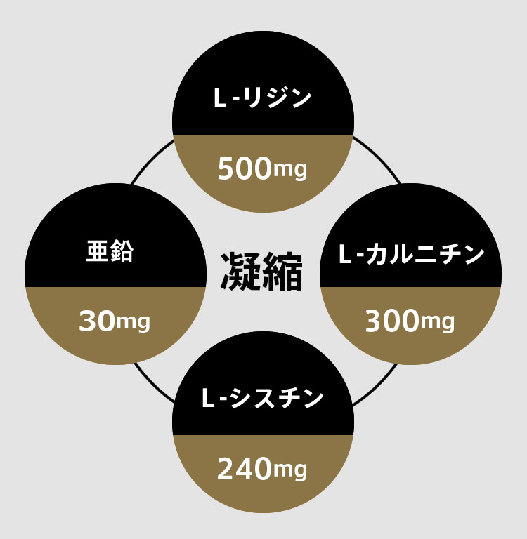 L・リジン500mg L・シスチン240mg L・カルニチン300mg 難消化性デキストリン 凝縮