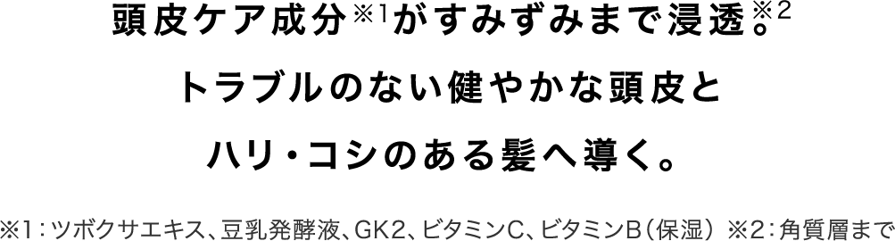 頭皮ケア成分※1がすみずみまで浸透。トラブルのない健やかな頭皮とハリ・コシのある髪へ導く。※1：ツボクサエキス、豆乳発酵液、GK2、ビタミンC、ビタミンB（保湿） ※2：角質層まで