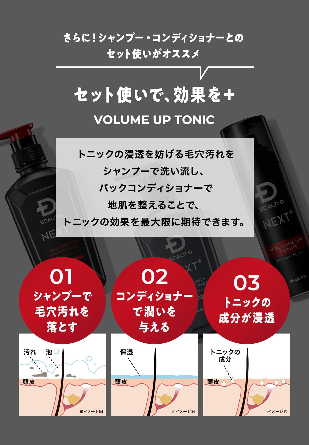 さらに！シャンプー・コンディショナーとのセット使いがオススメ セット使いで、効果を＋ VOLUME UP TONIC トニックの浸透を妨げる毛穴汚れをシャンプーで洗い流し、パックコンディショナーで地肌を整えることで、トニックの効果を最大限に期待できます。 01.シャンプーで毛穴汚れを落とす 02.コンディショナーで潤いを与える 03.トニックの成分が浸透