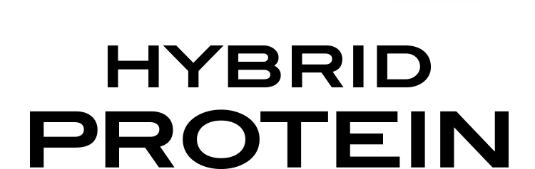 HYBRID PROTEIN