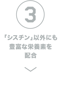 「シスチン」以外にも豊富な栄養素を配合