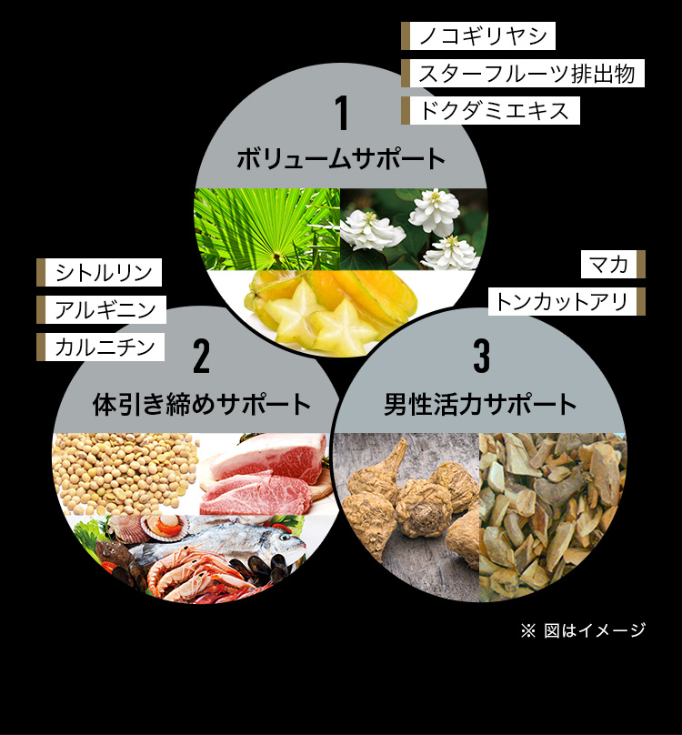 1.ボリュームサポート 2.体引き締めサポート 3.男性活力サポート