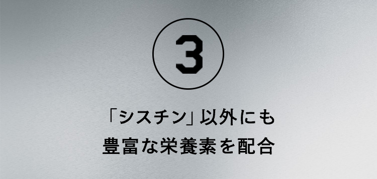 3.「シスチン」以外にも豊富な栄養素を配合