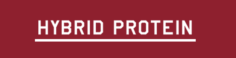 HYBRID PROTEIN