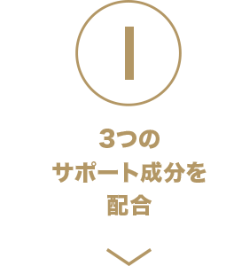 3つのサポート成分に配合