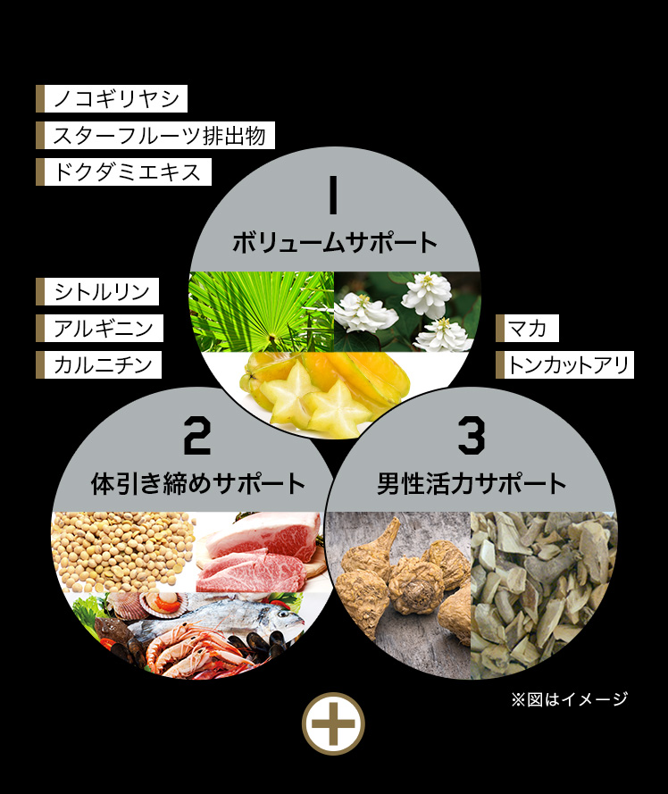 1.ボリュームサポート 2.体引き締めサポート 3.男性活力サポート