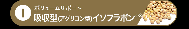 1.ボリュームサポート 吸収型(アグリコン型)イソフラボン※3
