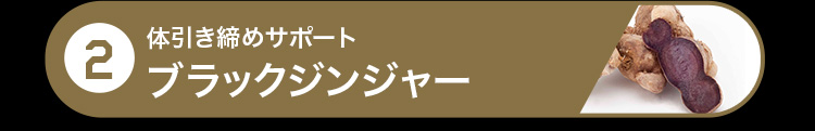 2.体引き締めサポート ブラックジンジャー