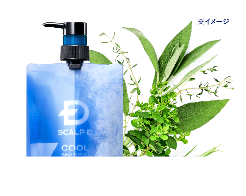 3本セット★SCALP D COOL SHAMPOO クールシャンプー 数量限定 数量限定】スカルプD スカルプシャンプー クール｜究極冷感。爽快に