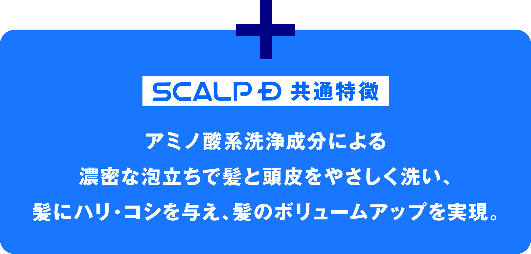 SCALP D 共通特徴 アミノ酸系洗浄成分による濃密な泡立ちで髪と頭皮をやさしく洗い、髪にハリ・コシを与え、髪のボリュームアップを実現。