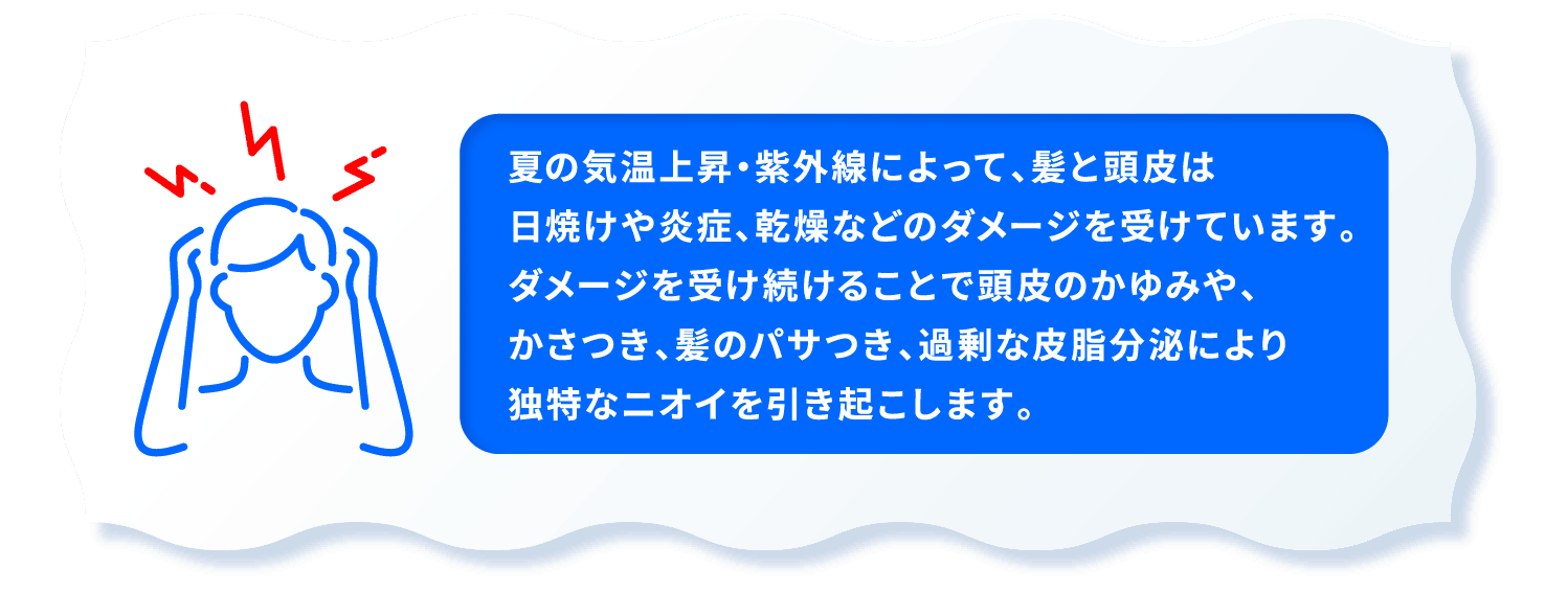 夏の気温上昇・紫外線によって、髪と頭皮は日焼けや炎症、乾燥などのダメージを受けています。ダメージを受け続けることで頭皮のかゆみや、かさつき、髪のパサつき、過剰な皮脂分泌により独特なニオイを引き起こします。