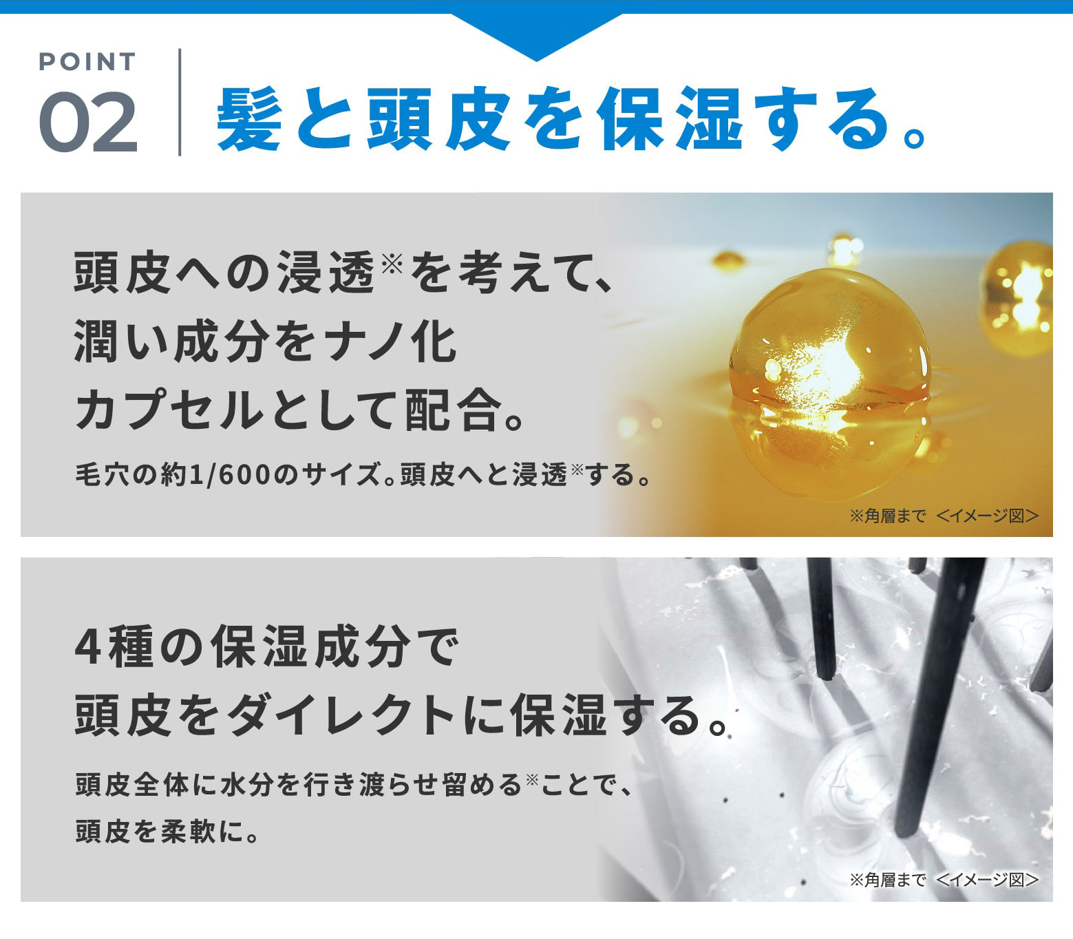 POINT 02 髪と頭皮を保湿する。