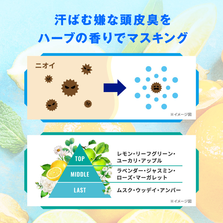 夏の強い日差しに着目 5種のハーブエキス※2配合！ 夏特有の頭皮ストレスを、集中ケア 汗ばむ嫌な頭皮臭をハーブの香りでマスキング