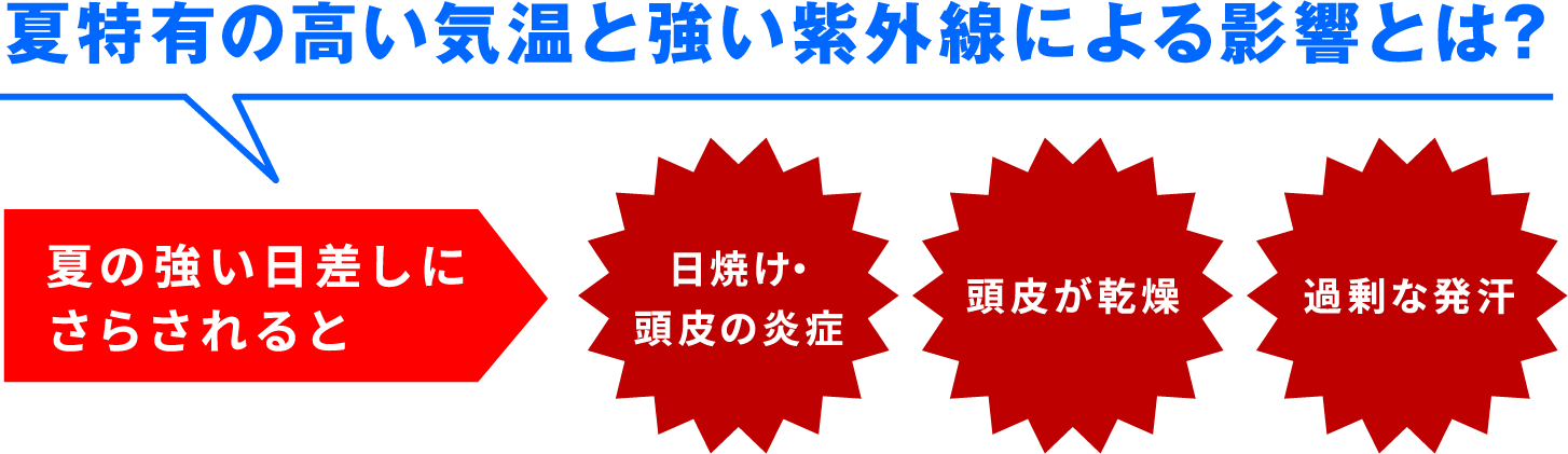 夏特有の高い気温と強い紫外線による影響とは？ 夏の強い日差しにさらされると 日焼け・頭皮の炎症  頭皮が乾燥 過剰な発汗