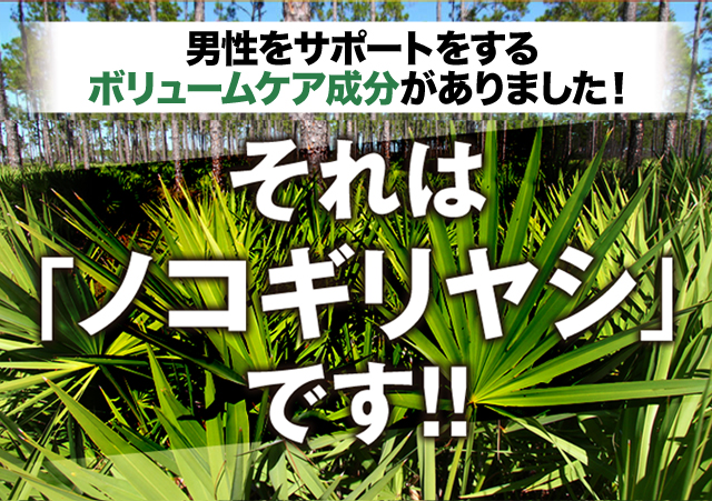 男性をサポートするボリュームケア成分がありました！それは「ノコギリヤシ」です！！