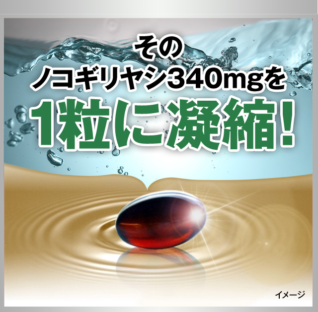 そのノコギリヤシ340mgを1粒に凝縮！