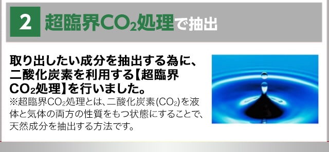 2 超臨界CO2処理で抽出