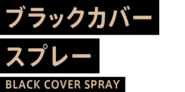ブラックカバースプレー BLACK COVER SPRAY